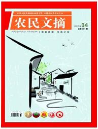 农民文摘杂志是什么类型期刊职称论文发表,期刊指导