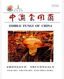 中国食用菌杂志论文字体要求职称论文发表，期刊指导