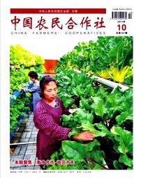 中国农民合作社杂志征收经济职称论文职称论文发表,期刊指导