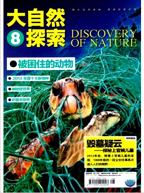 大自然探索杂志官网咨询邮箱职称论文发表,期刊指导