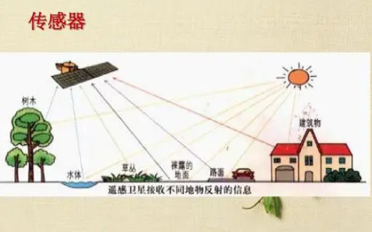 3S技术在精准农业中的应用研究