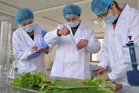 环介导等温扩增法在食品安全检测领域的应用