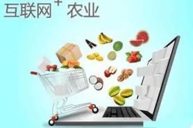 “互联网+”精准农业对湖北省农业经济发展的影响