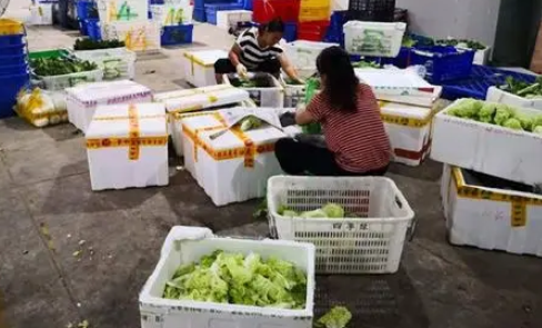 供应链视角下固原市冷凉蔬菜流通渠道发展对策研究