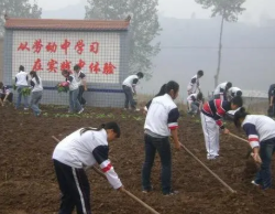 中学劳动教育的现状及改进措施