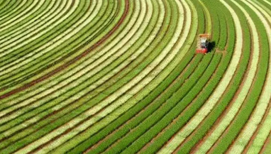 农村土地流转对我国粮食生产率提升影响探究