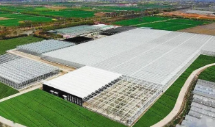 保定市农业科技园区科技创新能力提升对策