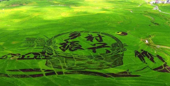 乡村振兴战略背景下农业经济发展与路径选择