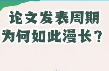 论文发表周期
