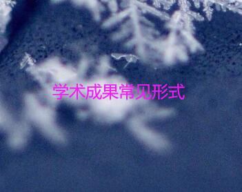 学术成果常见形式