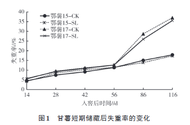 甘薯短期储藏后失重率的变化