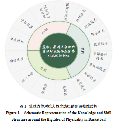 篮球身体对抗大概念统摄的知识技能结构