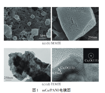 mCu/PANI电镜图
