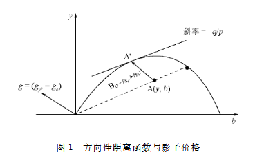 方向性距离函数与影子价格