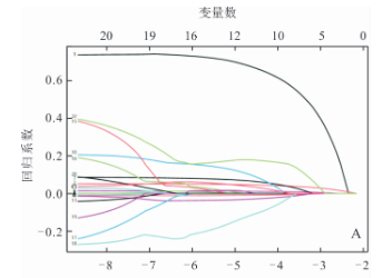 变量数