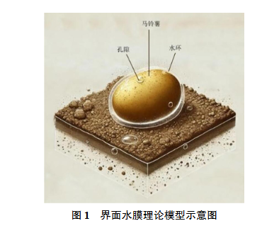 土下作物根土分离技术研究现状与发展趋势