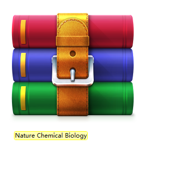 Nature Chemical Biology模板