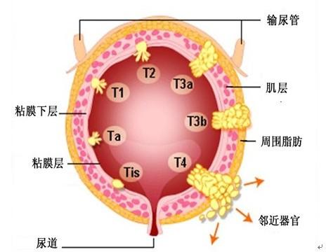 职称论文发表网　职称论文发表