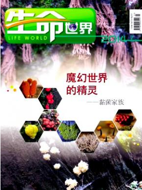 生命世界杂志投稿征稿信息
