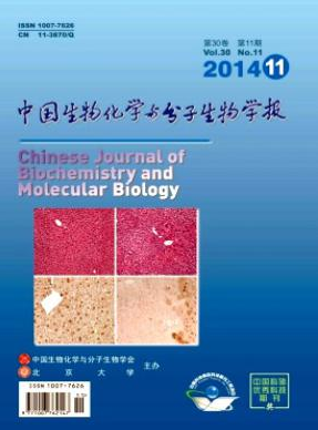 中国生物化学与分子生物学报杂志咨询邮箱职称论文发表,期刊指导