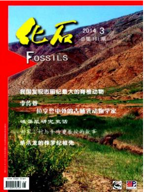 化石论文投稿目录