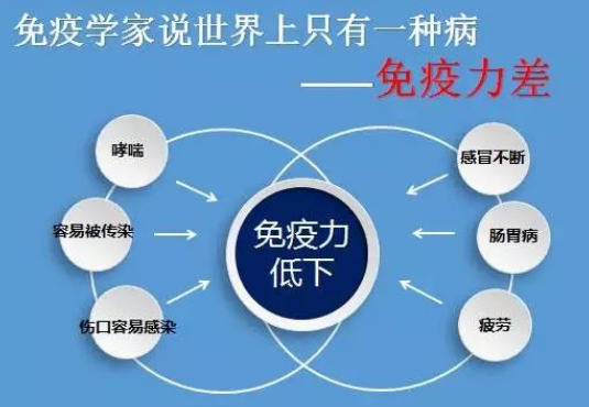 免疫衰老及其相关机制