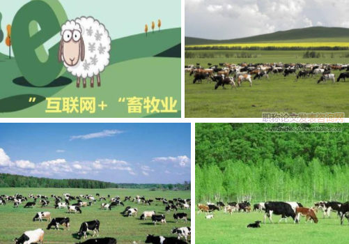 “互联网+”背景下高职畜牧兽医类专业建设的思考