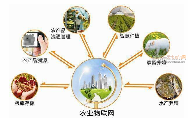 物联网在智慧农业中的应用