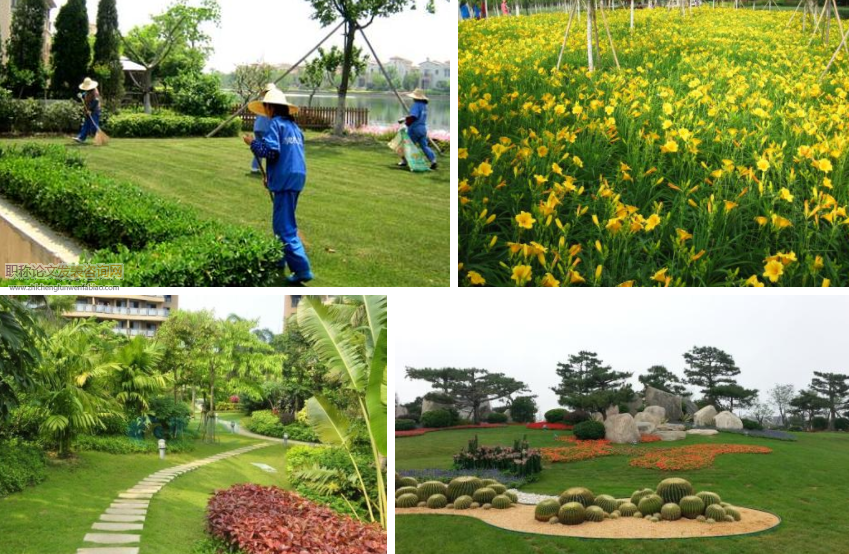 市政园林绿化施工中的反季节种植技术解析
