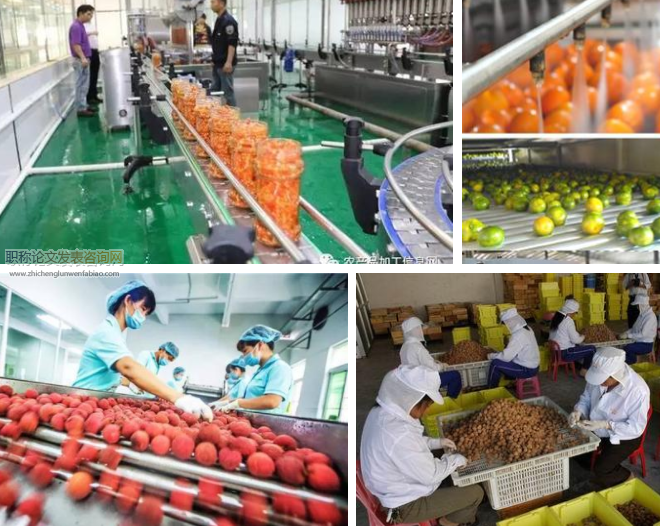 德州市农产品加工企业融资问题研究