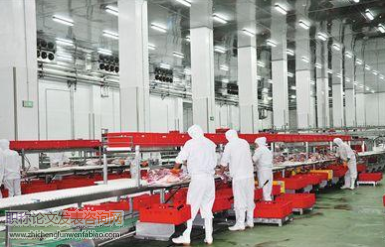 关于农产品加工企业科技人才的英语水平提高策略研究