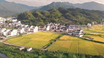 北京市社会力量参与新农村建设效果与未来展望