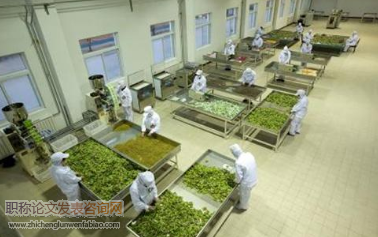 农副产品加工企业粉尘防爆安全隐患分析及整治措施