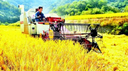 社会主义建设时期毛泽东“三农”思想研究