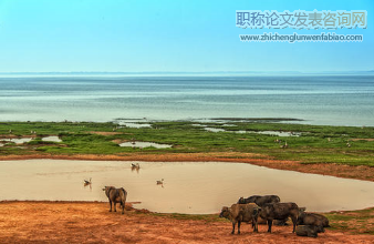 鄱阳湖生态经济区高效生态农业的发展