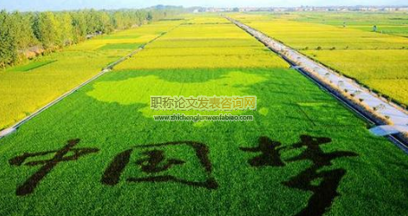 彭州市新农村建设省级示范片绩效评价研究