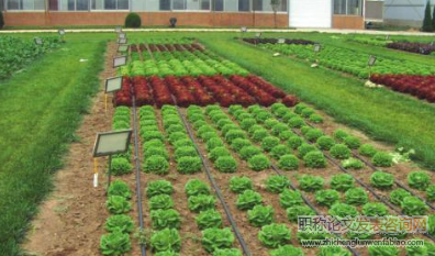 农牧配套种养结合型生态循环农业技术模式