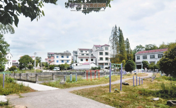 新农村建设背景下我国农业科技成果转化体系建设研究