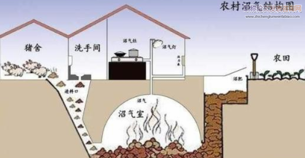 以发展沼气工程为纽带的中国绿色农业发展思路