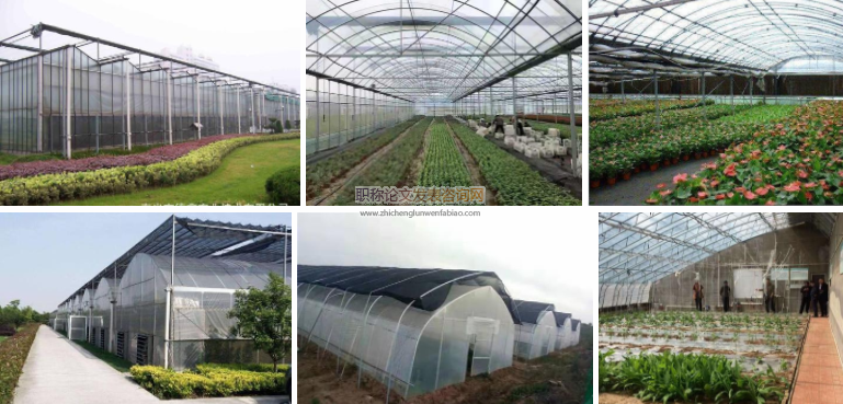 新型农业大棚智能系统的发展与建立