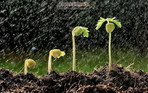 多组学联合分析在植物生长发育研究中的应用