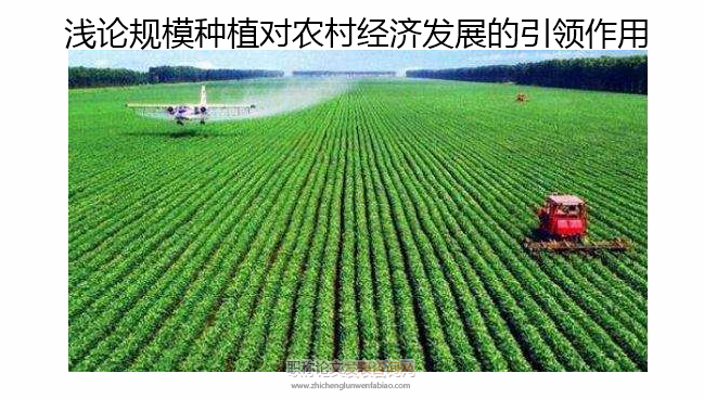 浅论规模种植对农村经济发展的引领作用