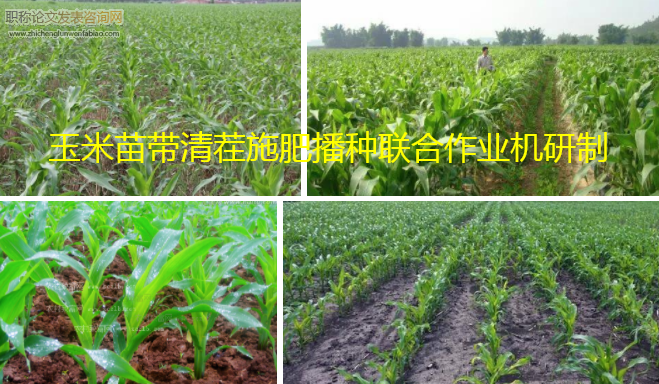 玉米苗带清茬施肥播种联合作业机研制