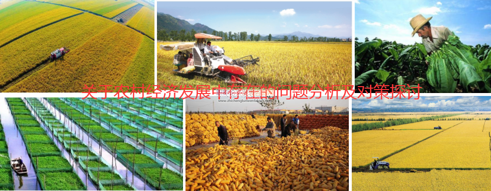 关于农村经济发展中存在的问题分析及对策探讨