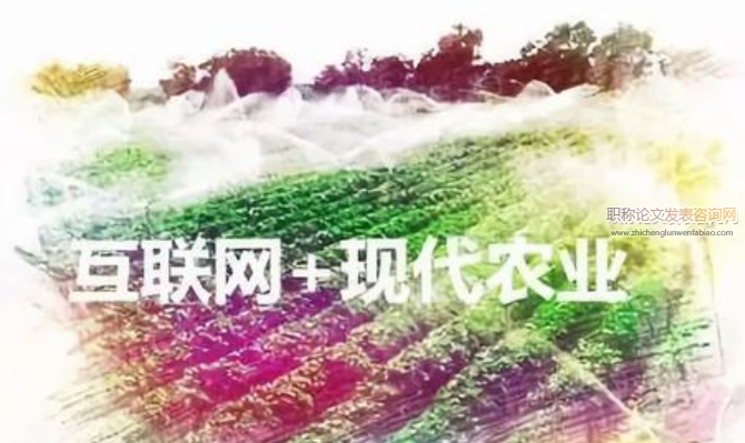 “互联网+农业”在农产品电子商务发展的制约因素与建议