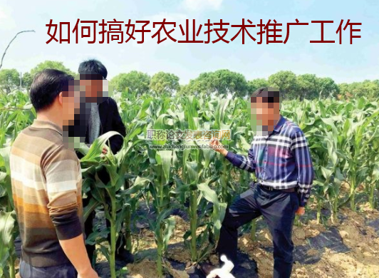 如何搞好农业技术推广工作