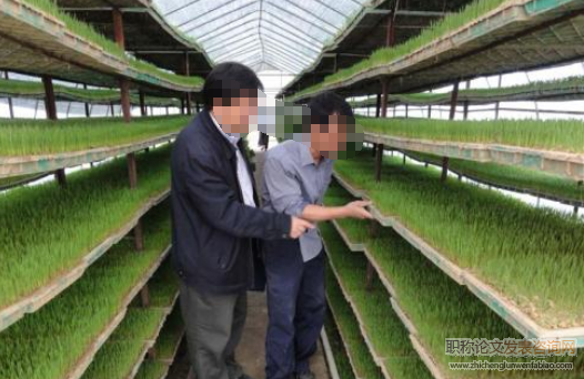 团场农业技术推广制度对农技员的影响