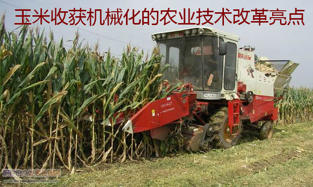 玉米收获机械化的农业技术改革亮点
