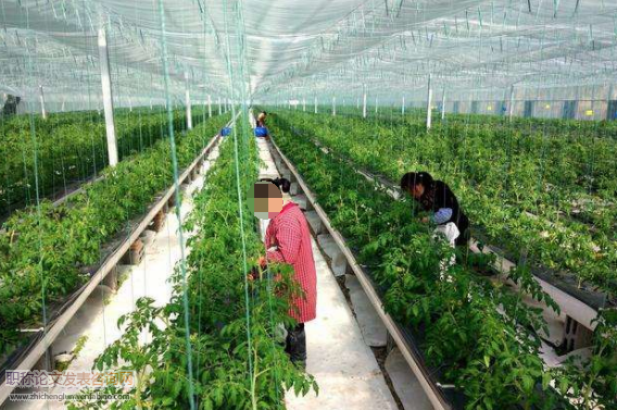 水土保持农业技术措施分类
