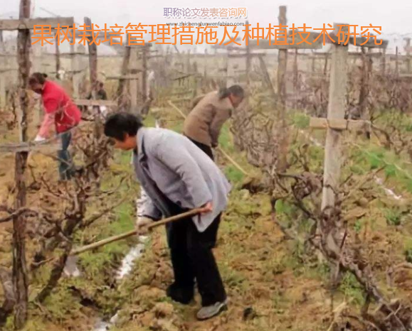 果树栽培管理措施及种植技术研究